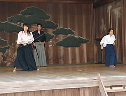 Tenshinsho Jigen Ryu Demo, 2009